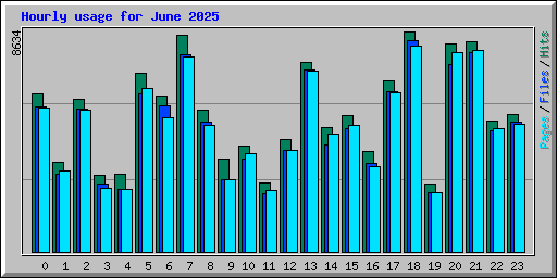 Hourly usage for June 2025