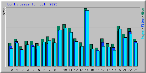 Hourly usage for July 2025