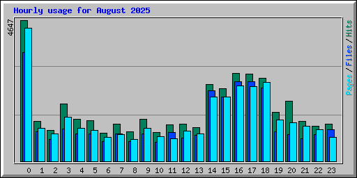 Hourly usage for August 2025